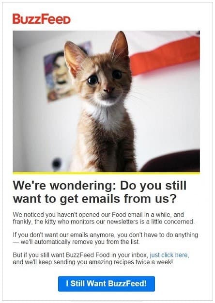 Re-engagement email example Re-engagement email example