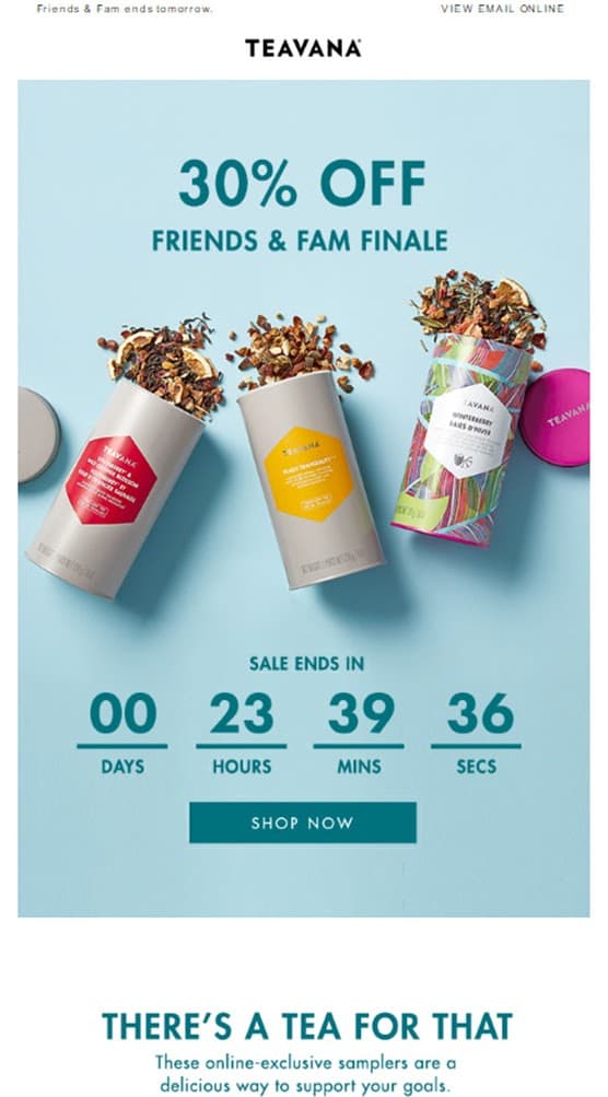 Example of promotional email from Teavana Example of promotional email from Teavana