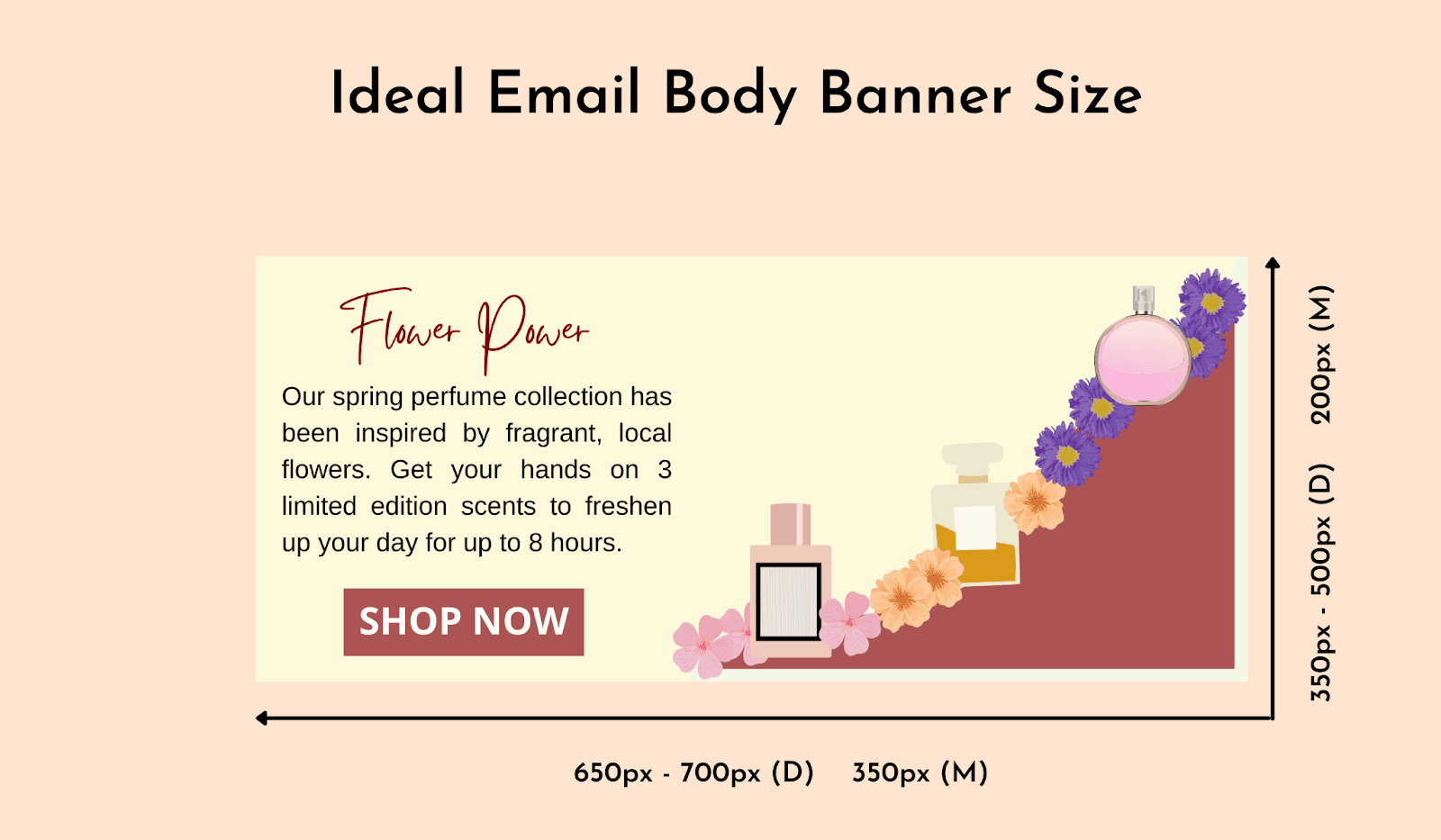 Ideal email body banner size Ideal email body banner size