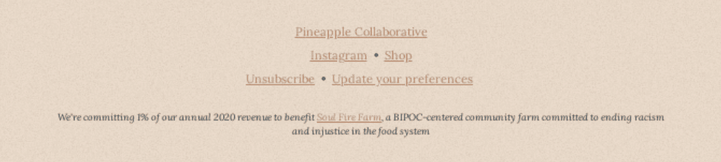 Email footer example from Pineapple Collaborative Email footer example from Pineapple Collaborative