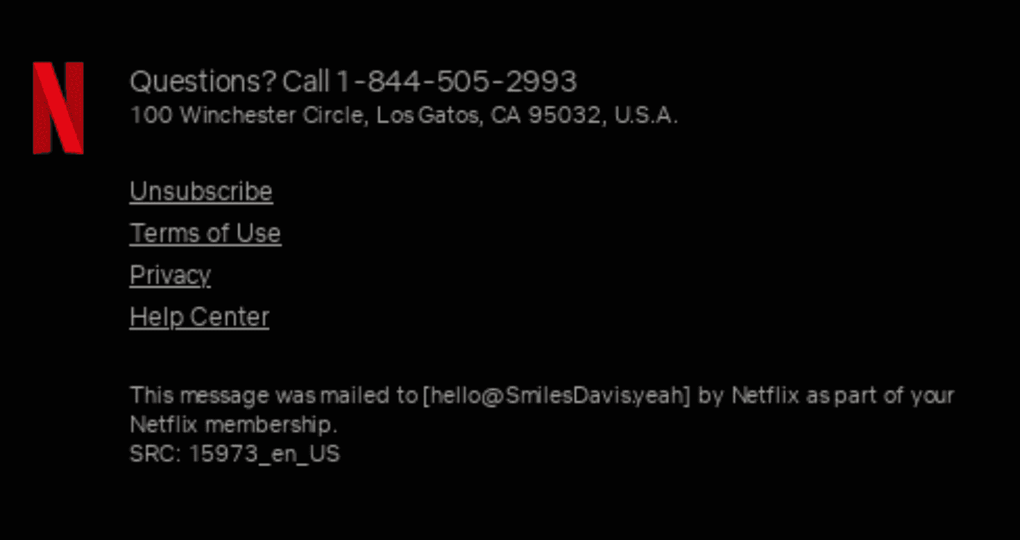 Mobile-friendly email footer example from Netflix Mobile-friendly email footer example from Netflix