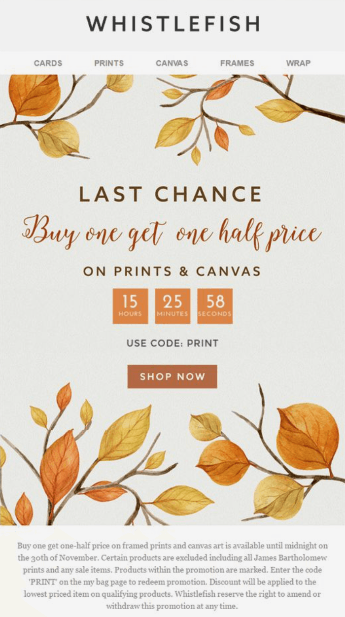 Last chance email from Whistlefish. Last chance email from Whistlefish.