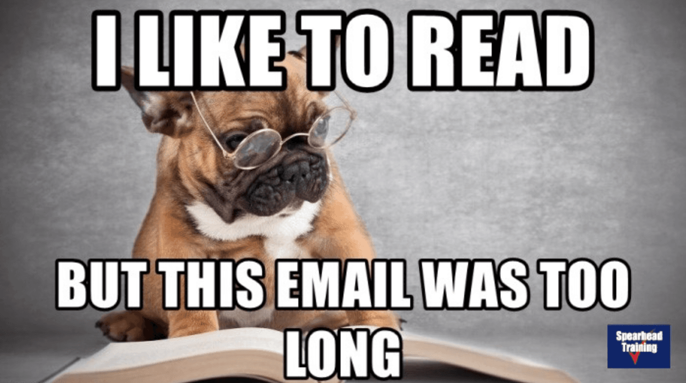 Meme on wordy email Meme on wordy email
