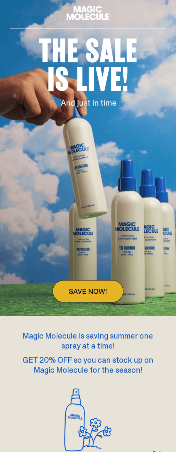 Summer sale email example from Magic Molecule. Summer sale email example from Magic Molecule.