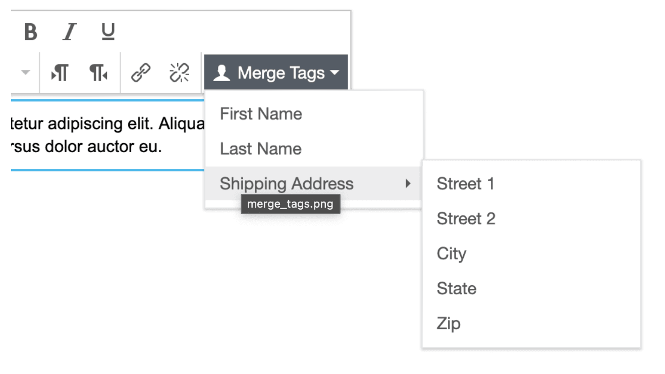 Unlayer’s merge tags for email personalization. Unlayer’s merge tags for email personalization.